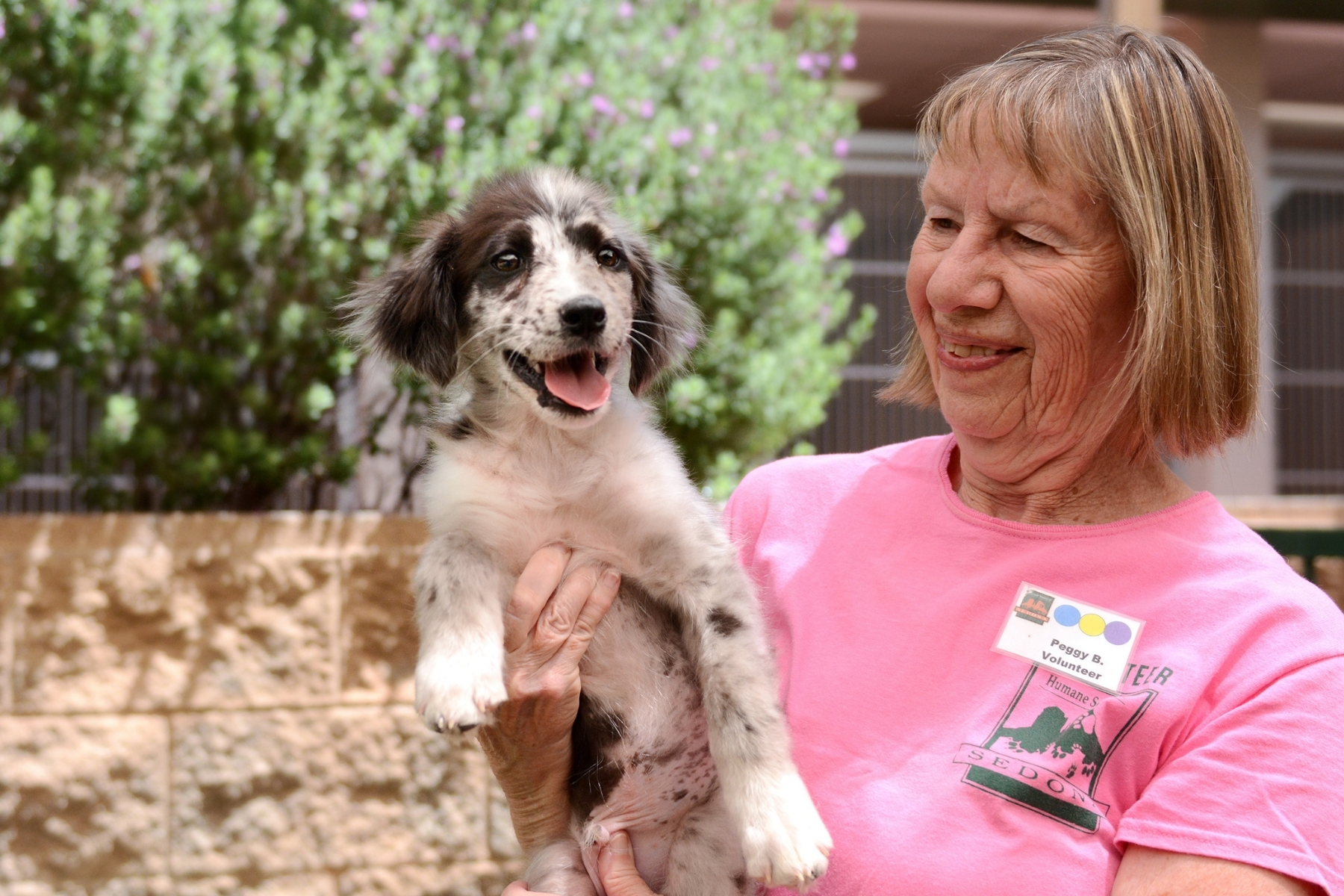Since '66 — animals of Sedona